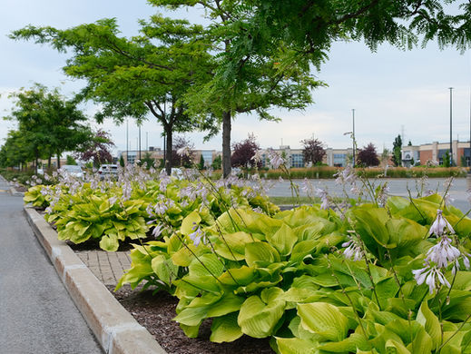 The New Summer Norm: Preparing Commercial Properties for Unpredictable Weather