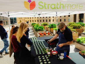 Why pollinator gardens belong in your tenant engagement strategy, not just your ESG report