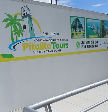 WhatsApp Image 2025-10-11 at 09.49.10.jpeg