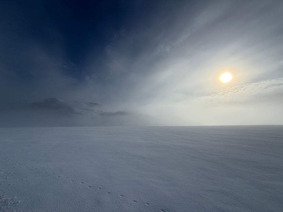 From the Shoreline to the Ice Cap: Entering the Expedition
