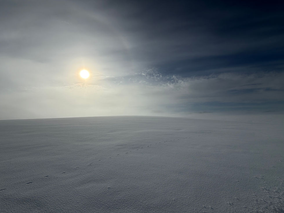Du rivage à l’Inlandsis : entrée dans l’expédition