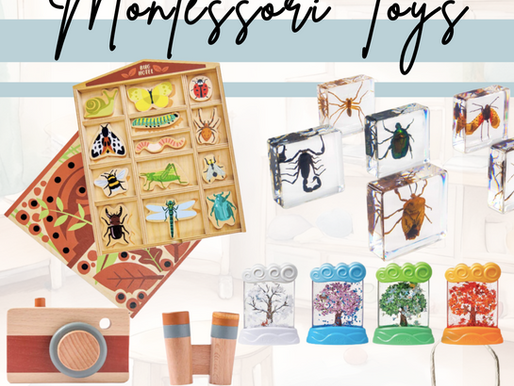 Exploring Nature and Science: Montessori Toys for the Young Naturalist