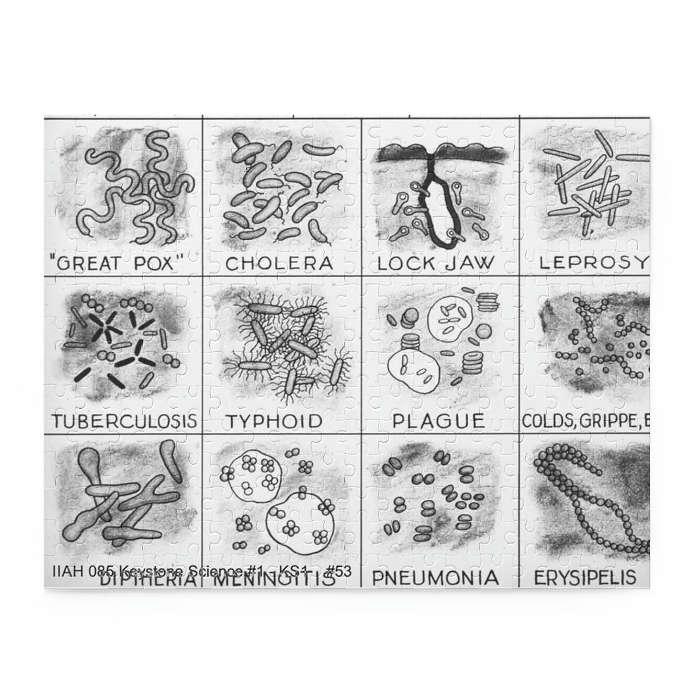 Thumbnail: IIAH Plagues Puzzle 252-Piece 