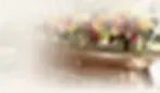 TLC Hero Image (1).webp
