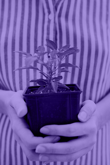 Keeping the presence of your loved ones close - The Life Celebrant Singapore