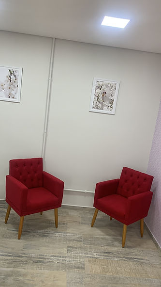 SALA PARA PSICOLOGO COWORKING ZONA NORTE SP
