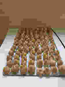 Ja ha arribat la castanyada i els nostres petits cuiners han fet panellets! Que bé ens ho hem passat :)