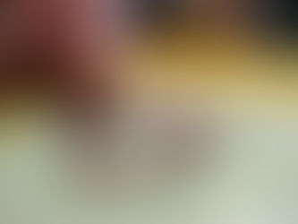 Fem servir elements naturals per aprendre!