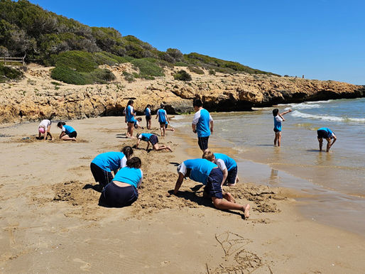 SORTIDA A LA PLATJA LLARGA 5è