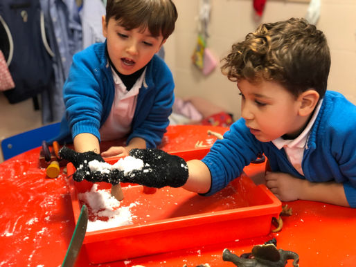 Fem racons d'hivern!