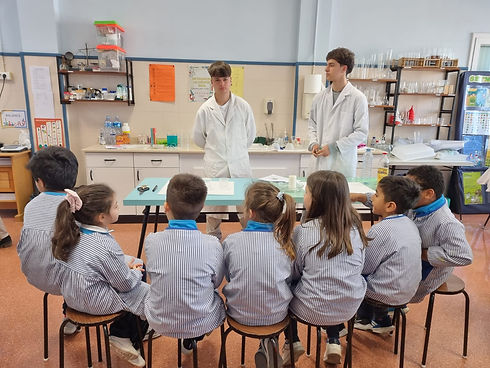 30909A80-5653-48BD-A843-622CD5DC4ACD_L0_001-23_1_2025 15_37_35.jpg