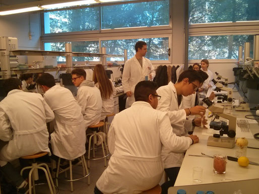 TALLER DE CIÈNCIES A 4t D'ESO