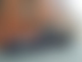 SORTIDA DE 1r D'ESO A BARCELONA