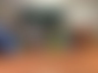 La disfressa ens hem posat i a l'escola el carnaval hem celebrat! Que bé ens ho hem passat!