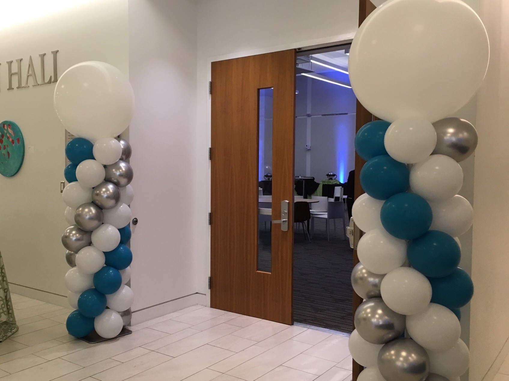 Balloon Columns | DC | Balloon Zoom