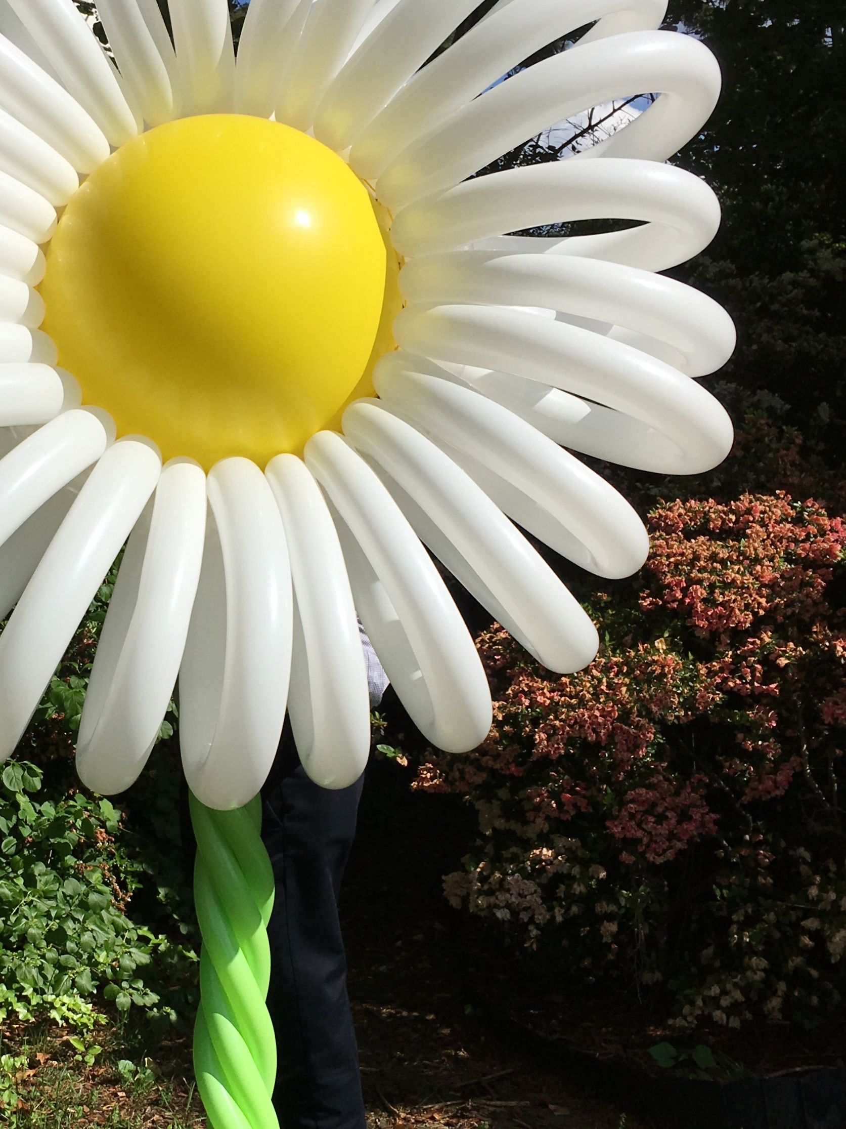 Flower Balloon Column | Washington DC | Balloon Zoom