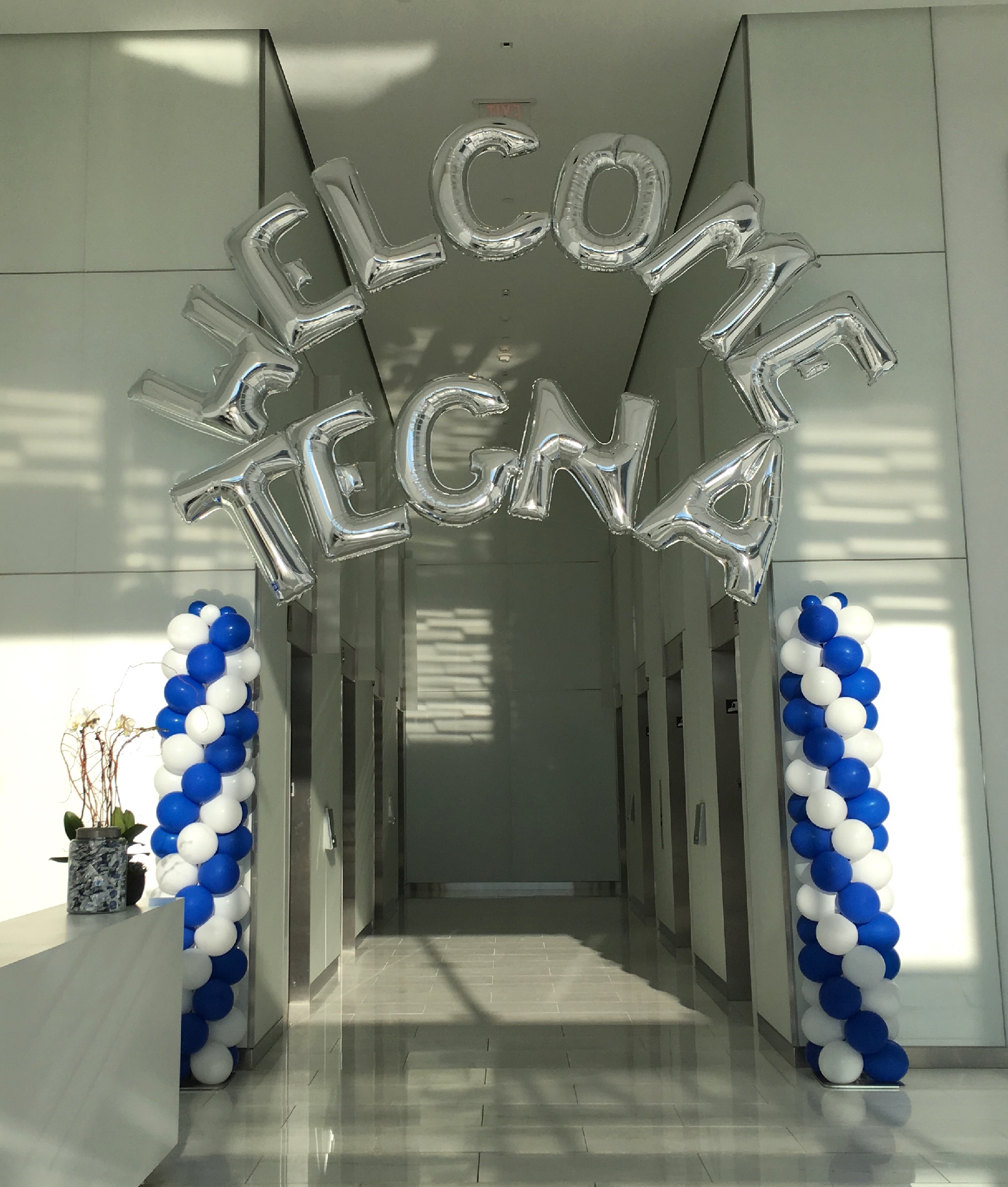 Grand Opening Balloons Washington DC Balloon Zoom