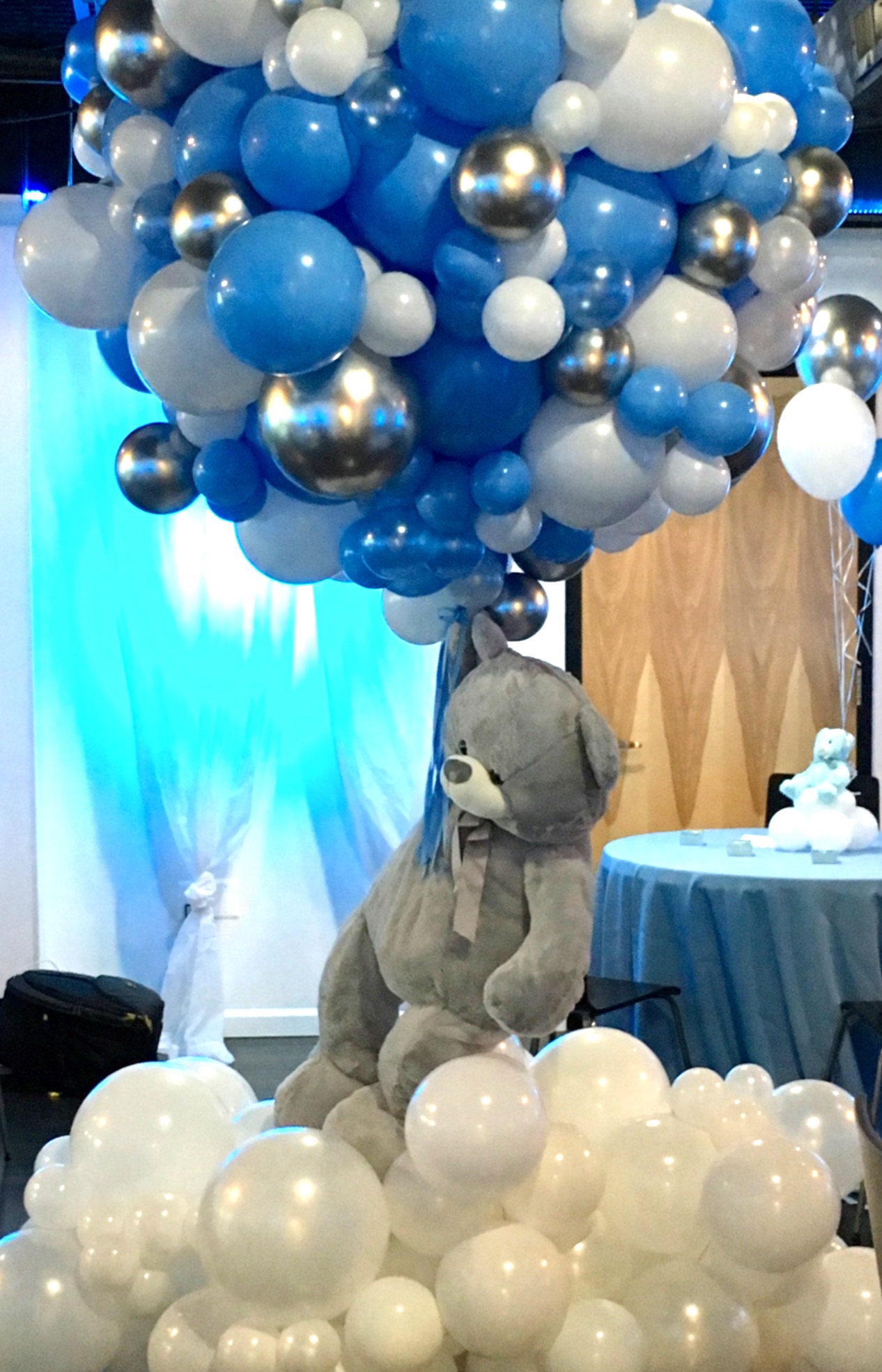 Balloon Sculptures | DC