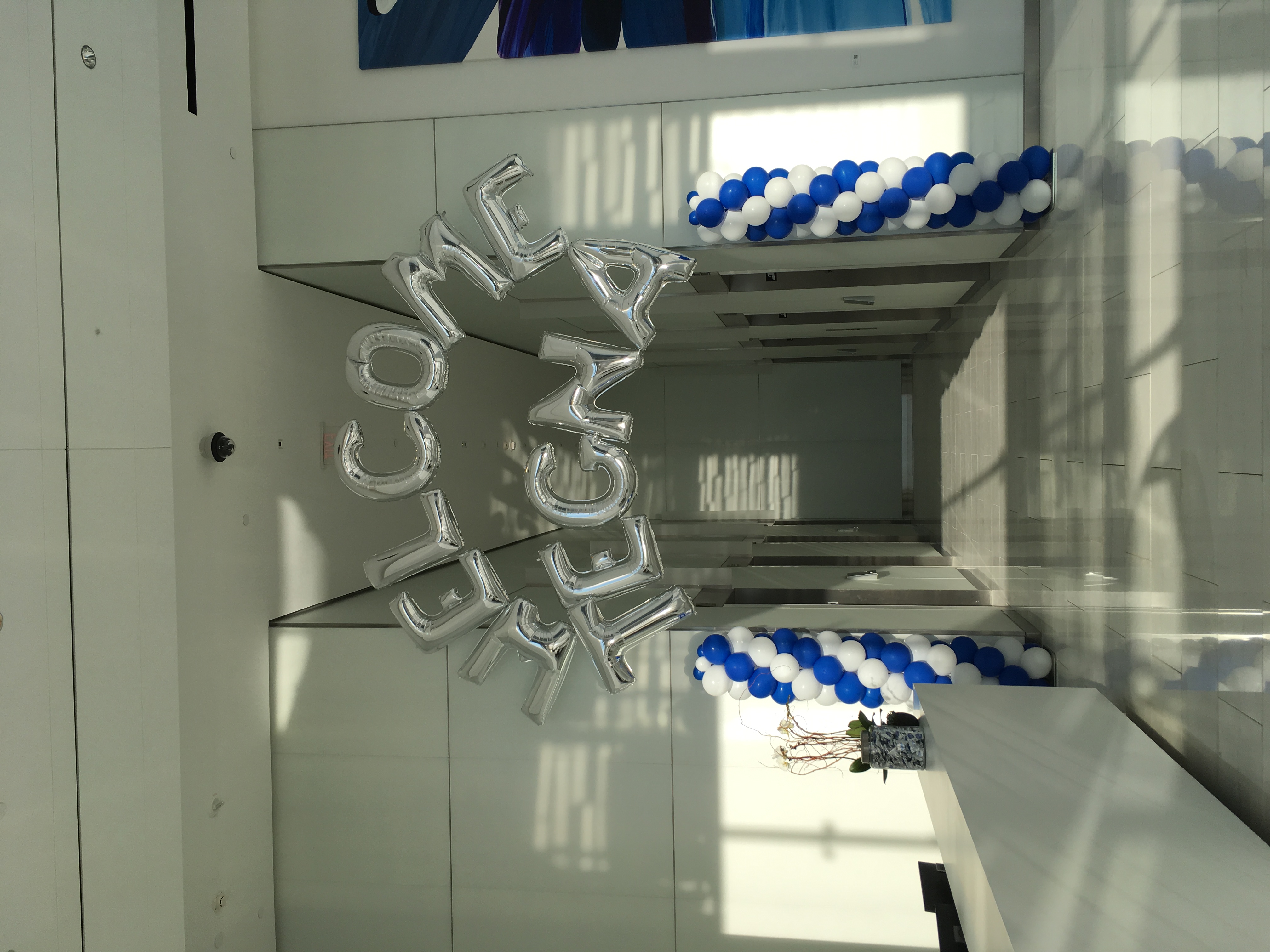 Corporate Balloon Decor | DC | Balloon Zoom