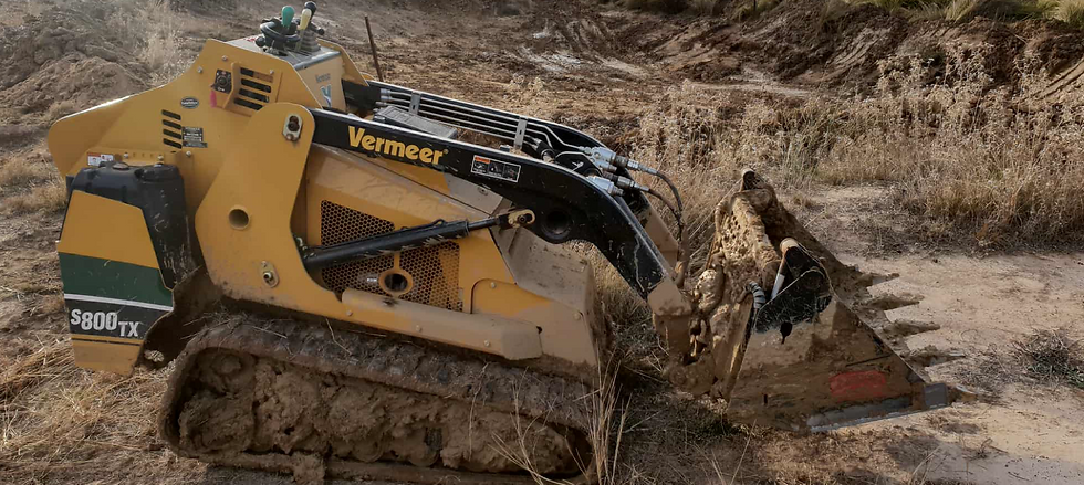 CGC - Vermeer Tile .png