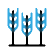 wheat (2).gif