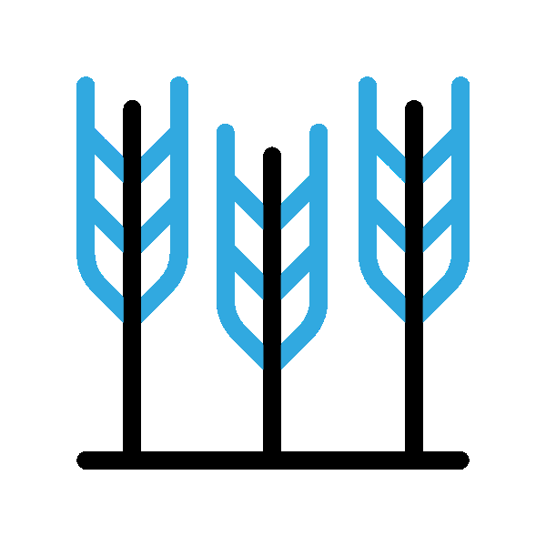 Slashing and Land Clearing Cowra