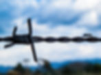 close-up-barbed-wire (1).jpg