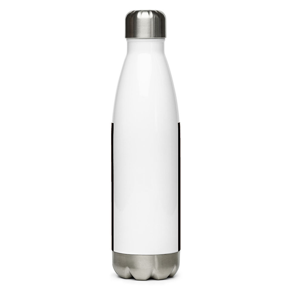 Thumbnail: Stainless Steel Water Bottle