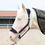 Thumbnail: Cavassion Bridle Anti-wear halter 