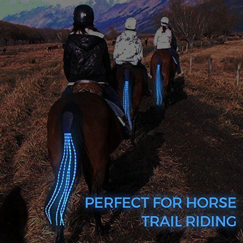 Thumbnail: dark ride tail lights 