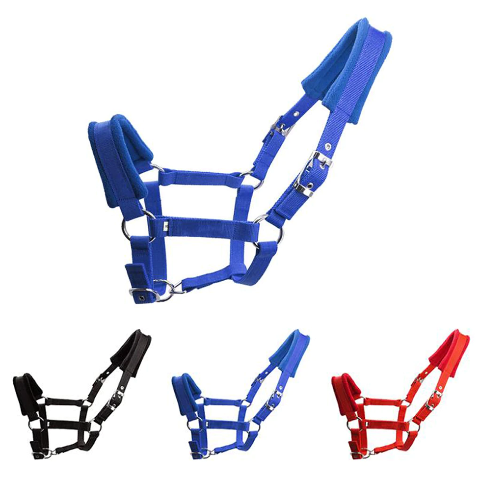 Thumbnail: Soft Padded Pony Horse Halter Bridle Headstall Head Collar Horse Riding Stable