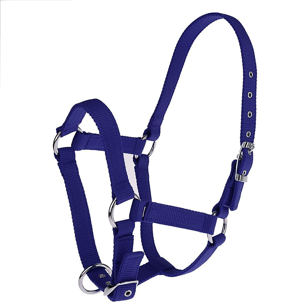 Thumbnail: Adjustable Nylon Webbing Equestrian Western Horse Halter Headstall 6mm
