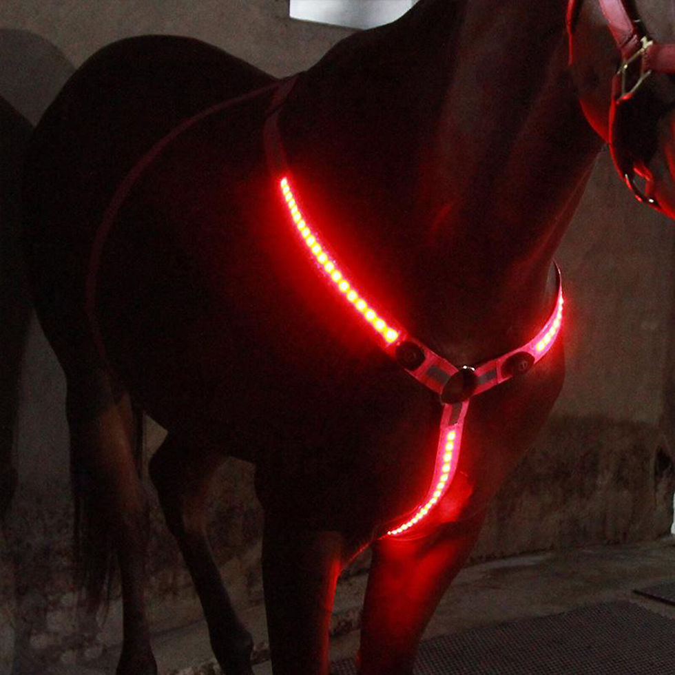 Thumbnail: Hi Viz Horse LED Breastplate Collar
