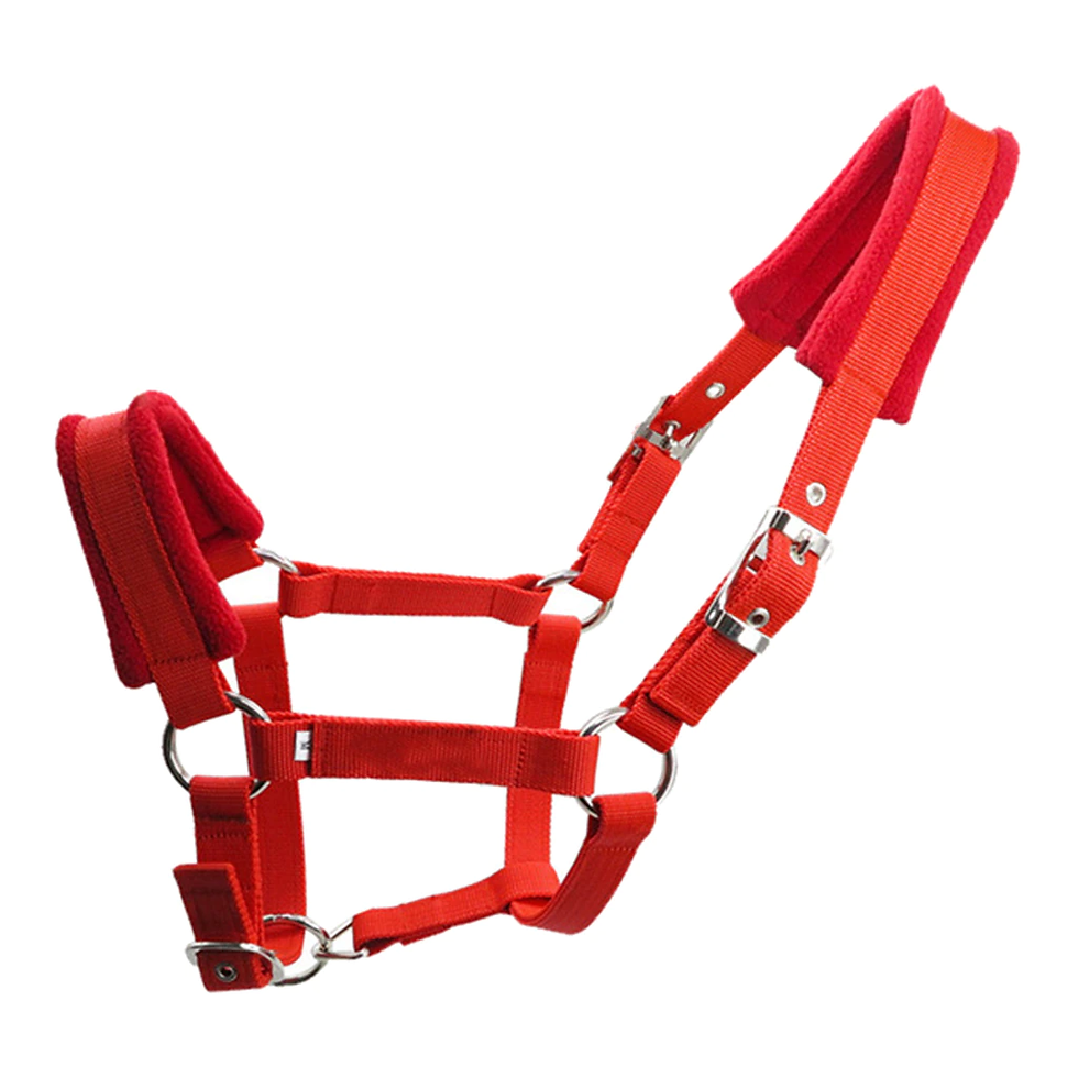 Thumbnail: Soft Padded Pony Horse Halter Bridle Headstall Head Collar Horse Riding Stable