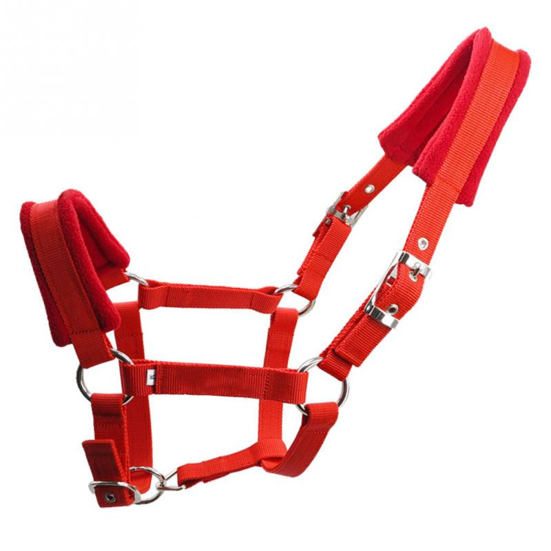 Thumbnail: padded halter
