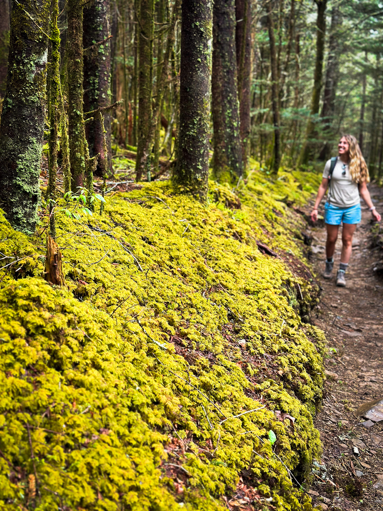 A girl on a trail next to lush greenery like moss and plants
