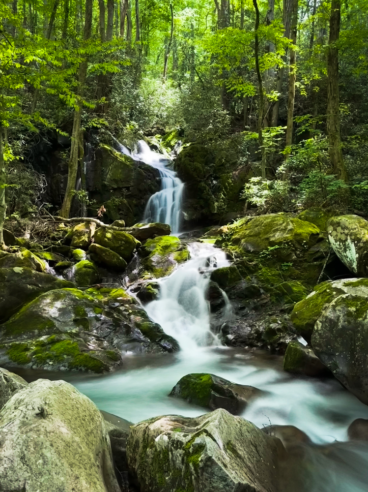 A waterfall winding down to a creek surrounded by lush greenery