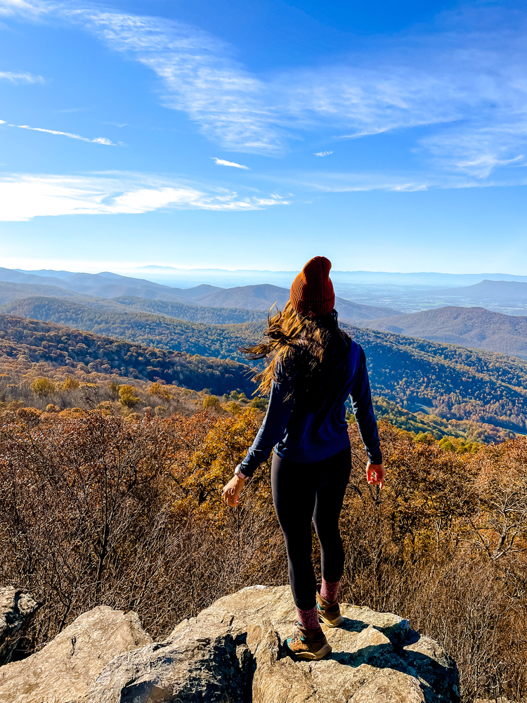 A gil stands on a ledge overlooking the mountains during fall