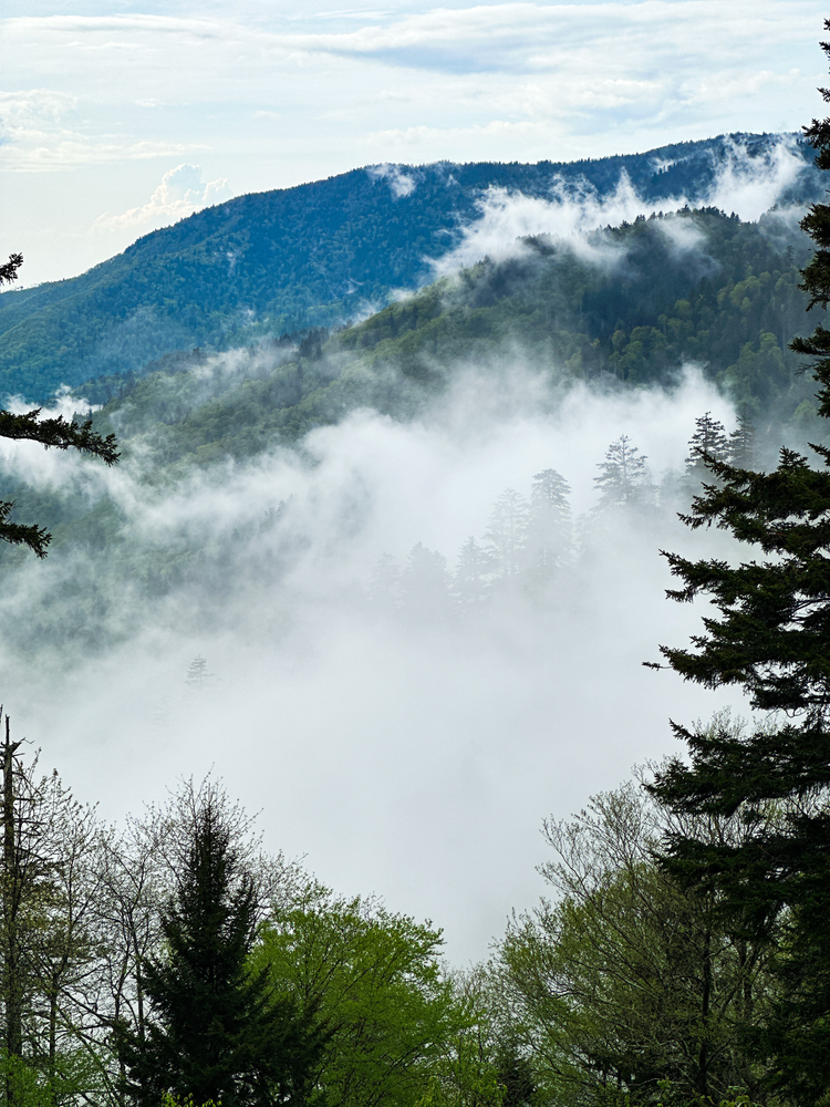 Fog surrounds the mountains