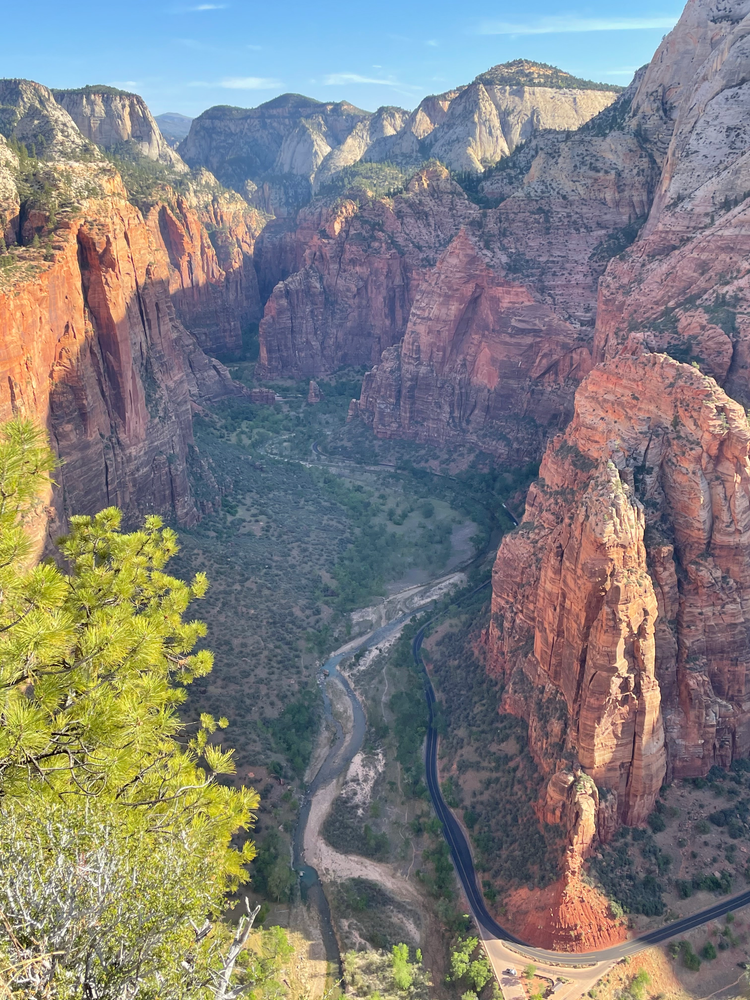 Overlooking Zion Canyon from Angels Landing trail