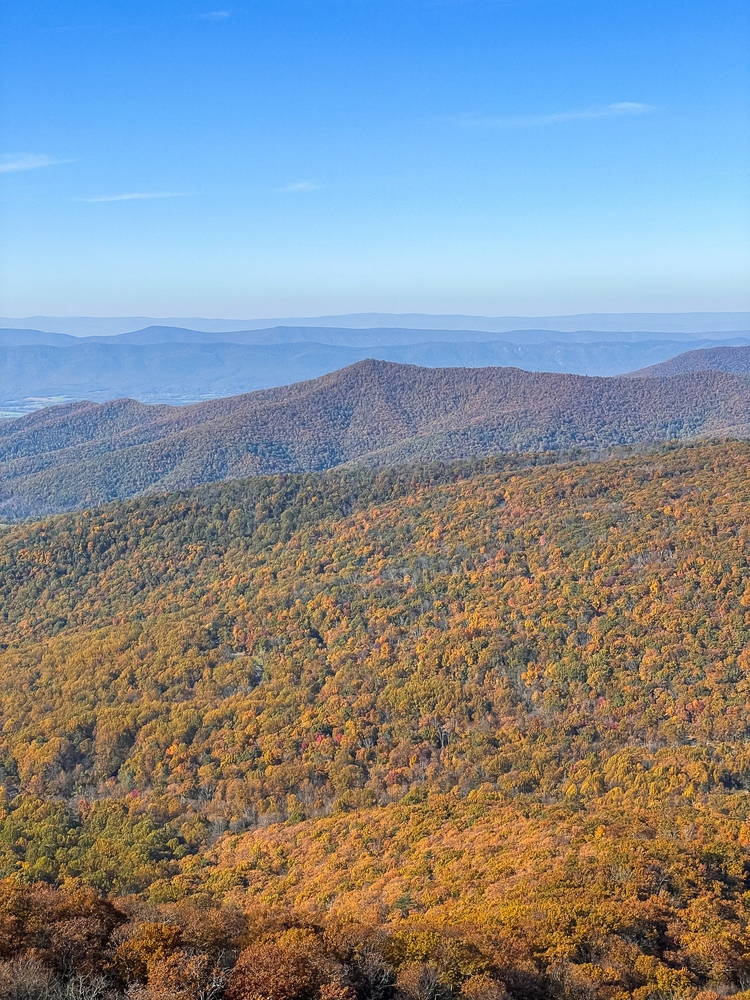 Skyline Drive and Shenandoah valley from one of the park overlook points