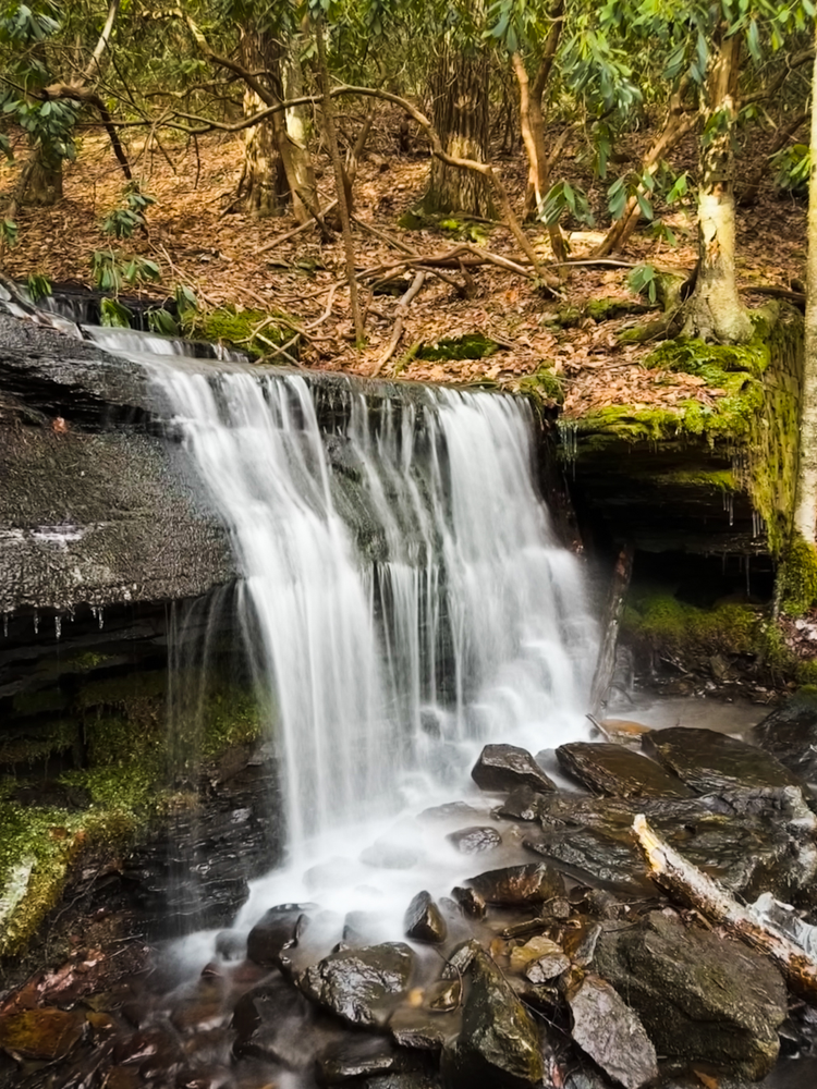 A small cascade in a forest 