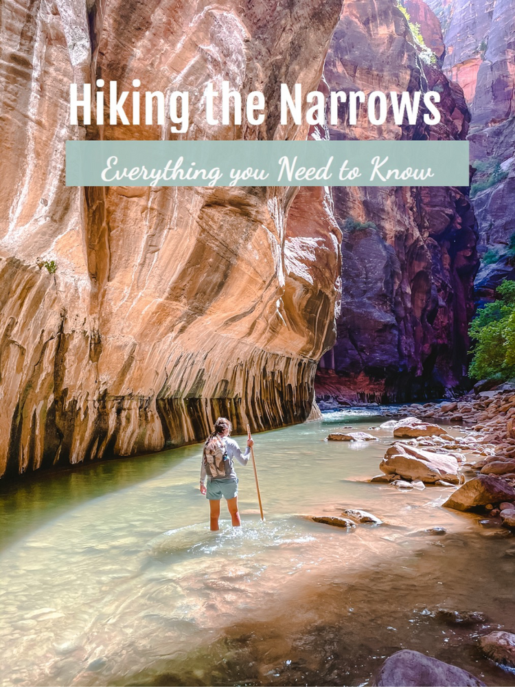 A woman standing in the Virgin River with a hiking stick amongst towering canyon walls 