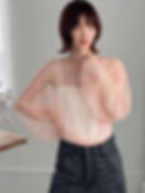 Korean fashion for women - Sheer tops korean