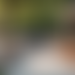 Transform Your Backyard with BigDecks' Outdoor Kitchens