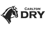 brand-logo-2.png