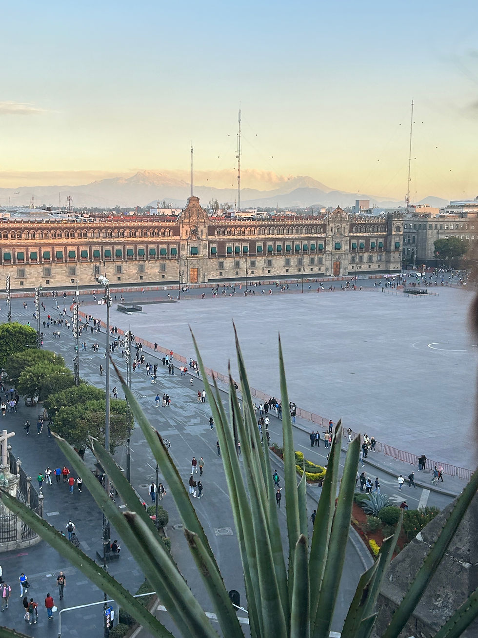 Art, Architecture, Tacos, Repeat: 5 days in Mexico City       