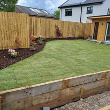 A newly landscaped garden features a curved lawn