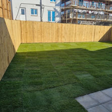 Freshly laid sod in a fenced yard with a newly constructed building visible in the background