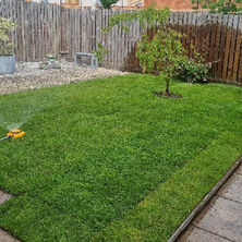A lush, green lawn features a small tree and is bordered by a tiled patio and wooden fence
